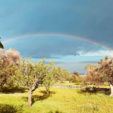 Вилла La Perla Di Torre Guaceto Serranova Экстерьер фото