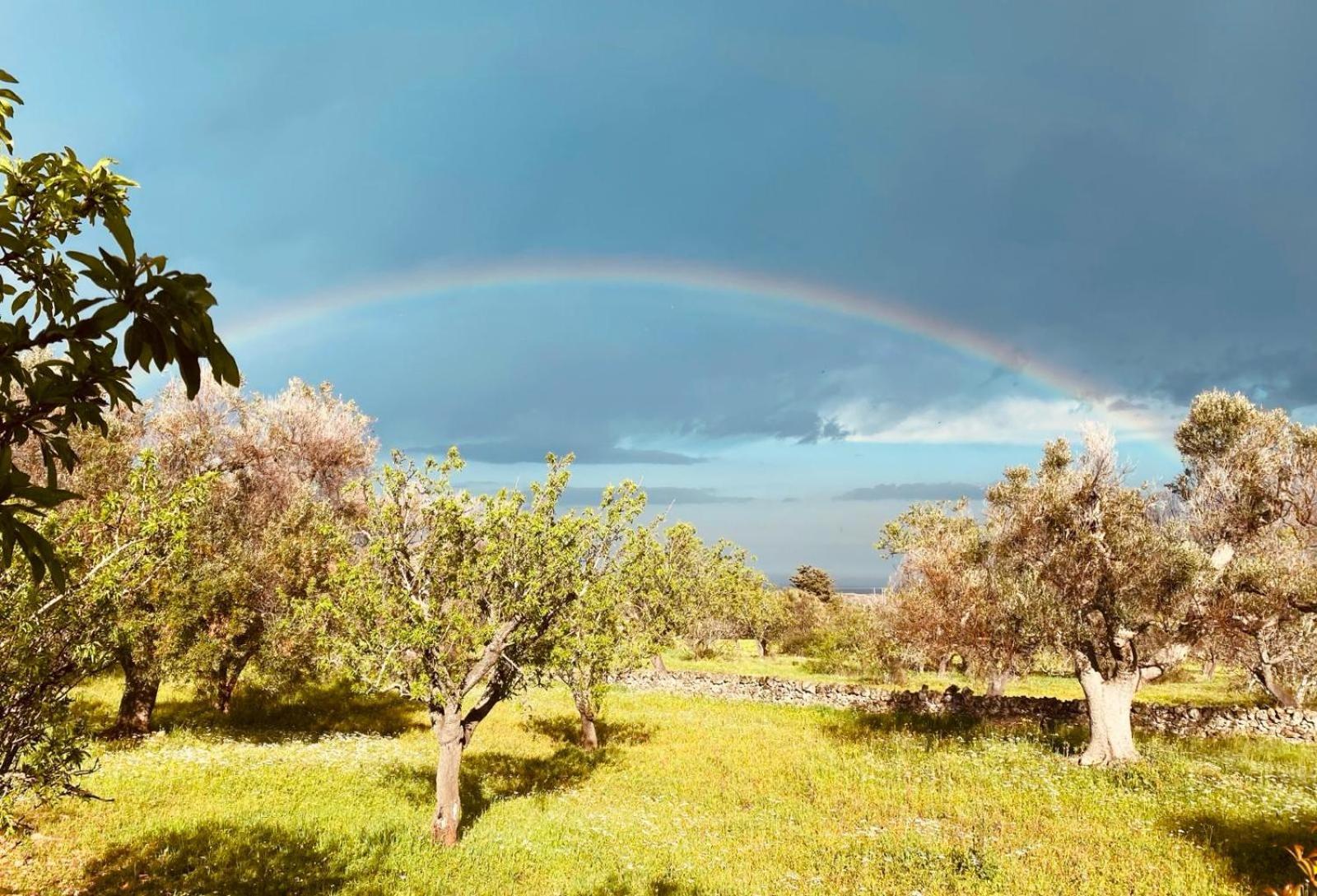 Вилла La Perla Di Torre Guaceto Serranova Экстерьер фото